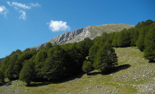 Nationale Park Il Pollino